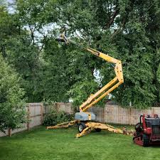 Artificial Turf Installation in Signal Mountain, TN