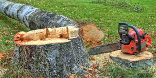 Best Firewood Processing and Delivery  in Signal Mountain, TN