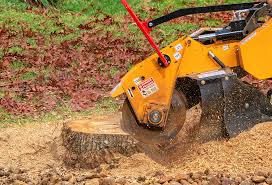 How Our Tree Care Process Works  in  Signal Mountain, TN